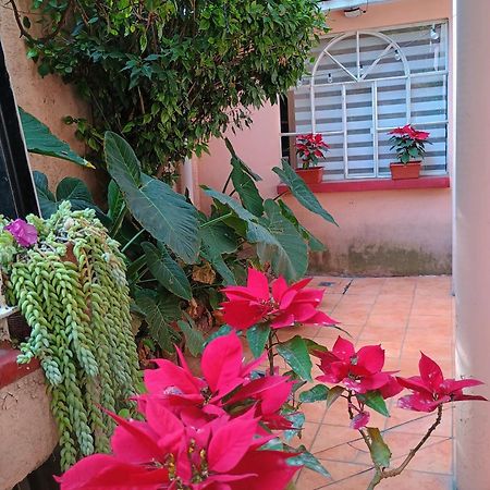 شقة Relax مدينة مكسيكو المظهر الخارجي الصورة